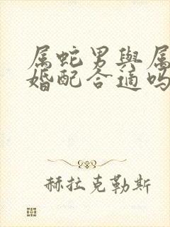 属蛇男与属蛇女婚配合适吗