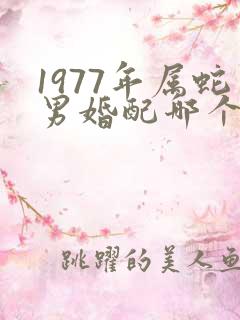 1977年属蛇男婚配哪个属相最好