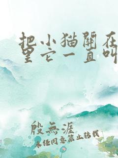 把小猫关在笼子里它一直叫怎么办