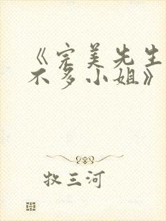 《完美先生和差不多小姐》