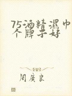 75酒精湿巾哪个牌子好