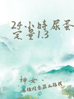 24小时尿蛋白定量1.3