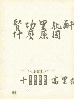 肾功里肌酐高是什么原因