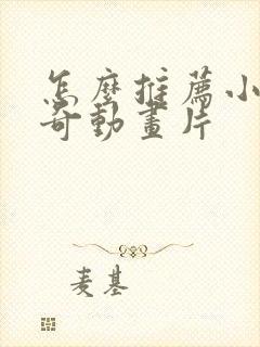 怎么推荐小猪佩奇动画片