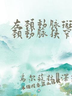 左颈动脉斑块和颈动脉狭窄怎么治