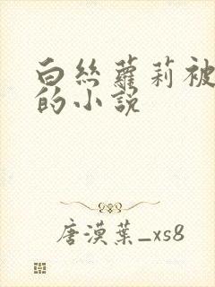 白丝萝莉被调教的小说