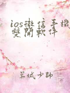 ios微信手机双开软件