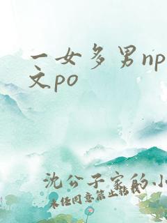 一女多男np爽文po