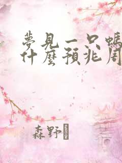 梦见一只蚂蚁是什么预兆周公解梦