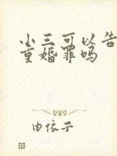 小三可以告男人重婚罪吗