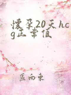 怀孕20天hcg正常值