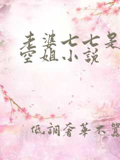 老婆七七是一名空姐小说