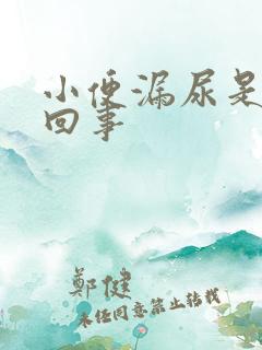 小便漏尿是怎么回事