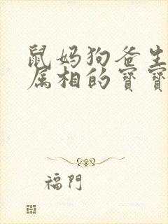 鼠妈狗爸生什么属相的宝宝好