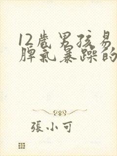 12岁男孩易怒脾气暴躁的原因