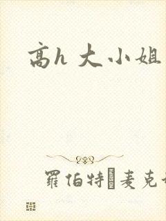 高h 大小姐
