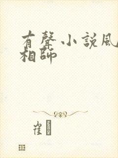 有声小说风水大相师