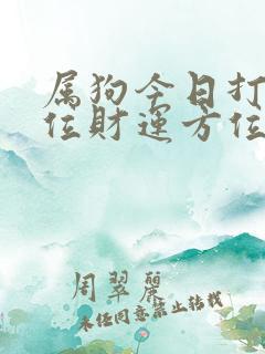 属狗今日打牌方位财运方位