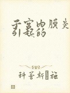 子宫内膜炎原因引起的