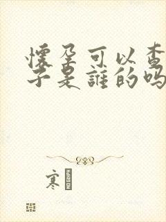 怀孕可以查出孩子是谁的吗