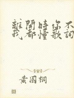 离开时你不用说我都懂歌词