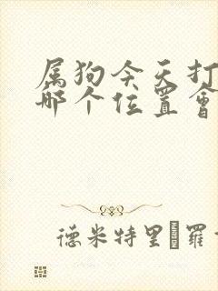 属狗今天打牌坐哪个位置会赢