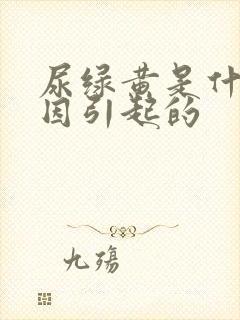 尿绿黄是什么原因引起的