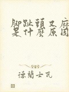 脚趾头又麻又痛是什么原因