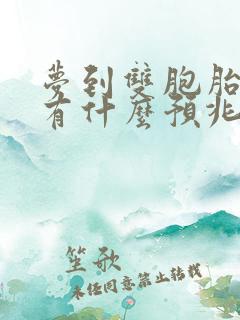 梦到双胞胎男孩有什么预兆