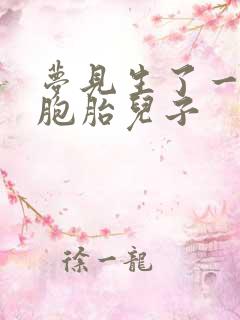 梦见生了一对双胞胎儿子