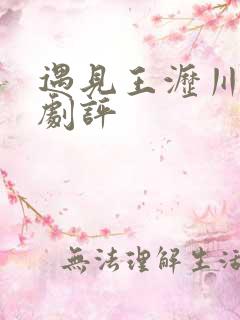 遇见王沥川精彩剧评