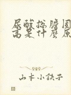 尿酸总胆固醇偏高是什么原因