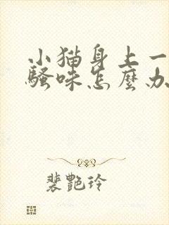 小猫身上一股尿骚味怎么办