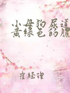 小母狗尿道口有黄绿色的脓