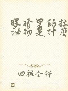 眼睛里的拉丝分泌物是什么