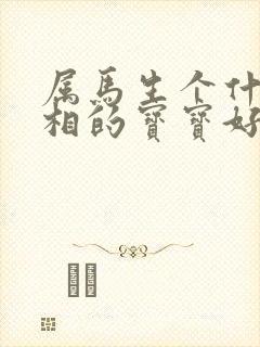 属马生个什么属相的宝宝好