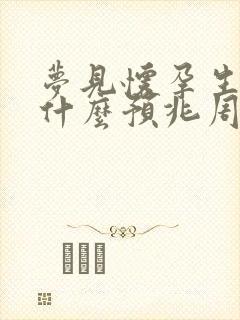 梦见怀孕生子是什么预兆周公解梦