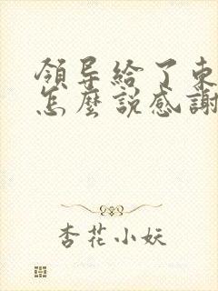 领导给了东西要怎么说感谢的话