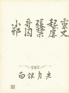 小哥张起灵被吴邪囚禁虐文