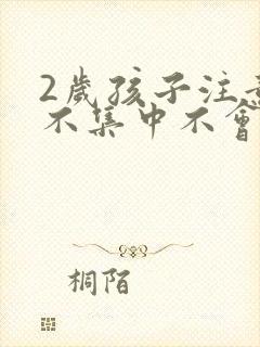 2岁孩子注意力不集中不会说话