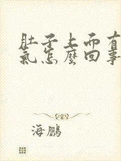 肚子上面有点胀气怎么回事