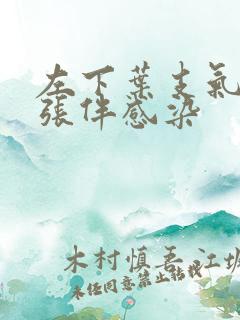 左下叶支气管扩张伴感染