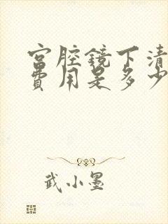 宫腔镜下清宫的费用是多少