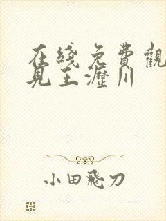 在线免费观看遇见王沥川