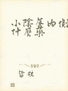 小阴唇内侧痒涂什么药