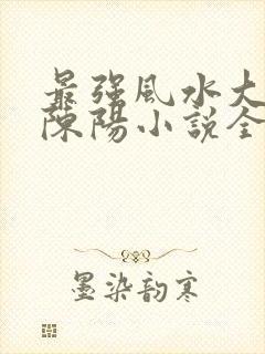 最强风水大相师陈阳小说全文免费阅读