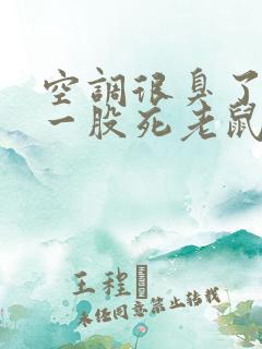 空调很臭了,有一股死老鼠味