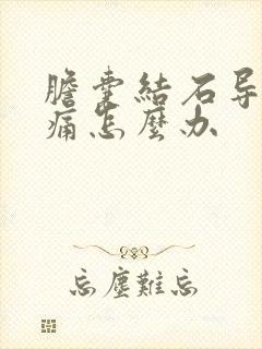 胆囊结石导致疼痛怎么办