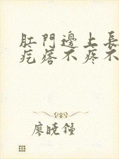 肛门边上长个硬疙瘩不疼不痒