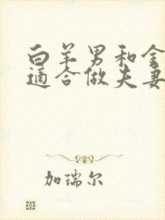 白羊男和金牛女适合做夫妻吗